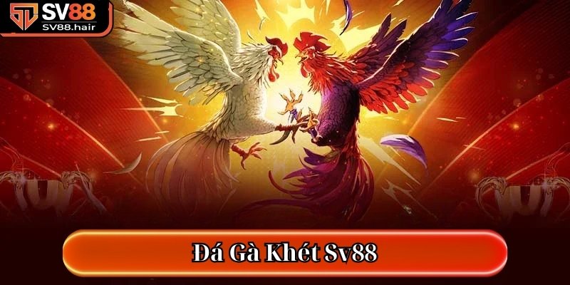 đá gà khét SV88