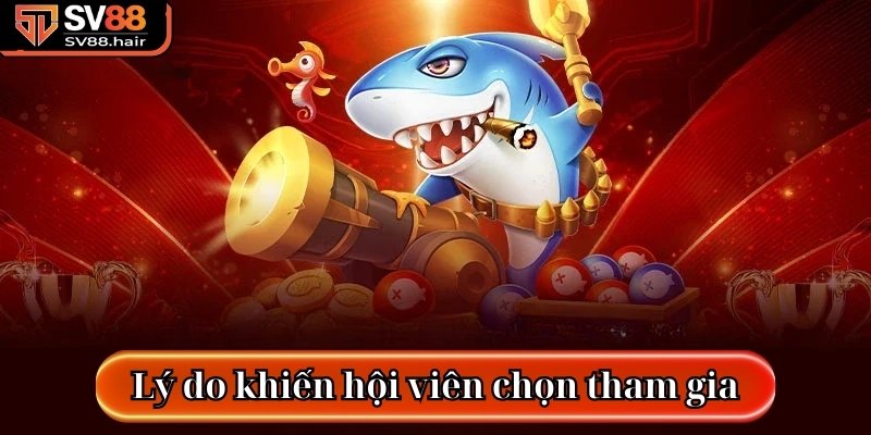 Rất nhiều lý do khiến hội viên chọn tham gia trò chơi