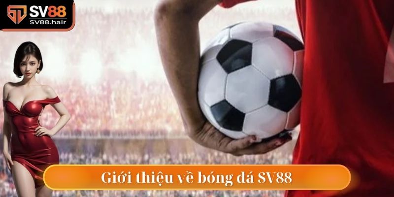 Khái quát giới thiệu thông tin về bóng đá SV88