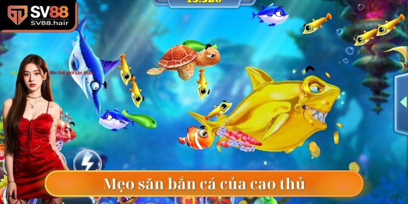 Mẹo săn bắn được chuyên gia hàng đầu chia sẻ