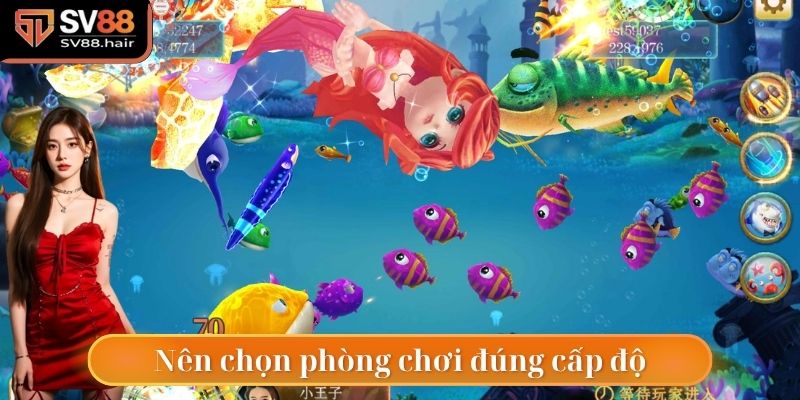 Người chơi nên bắn cá ở phòng chơi đúng cấp độ